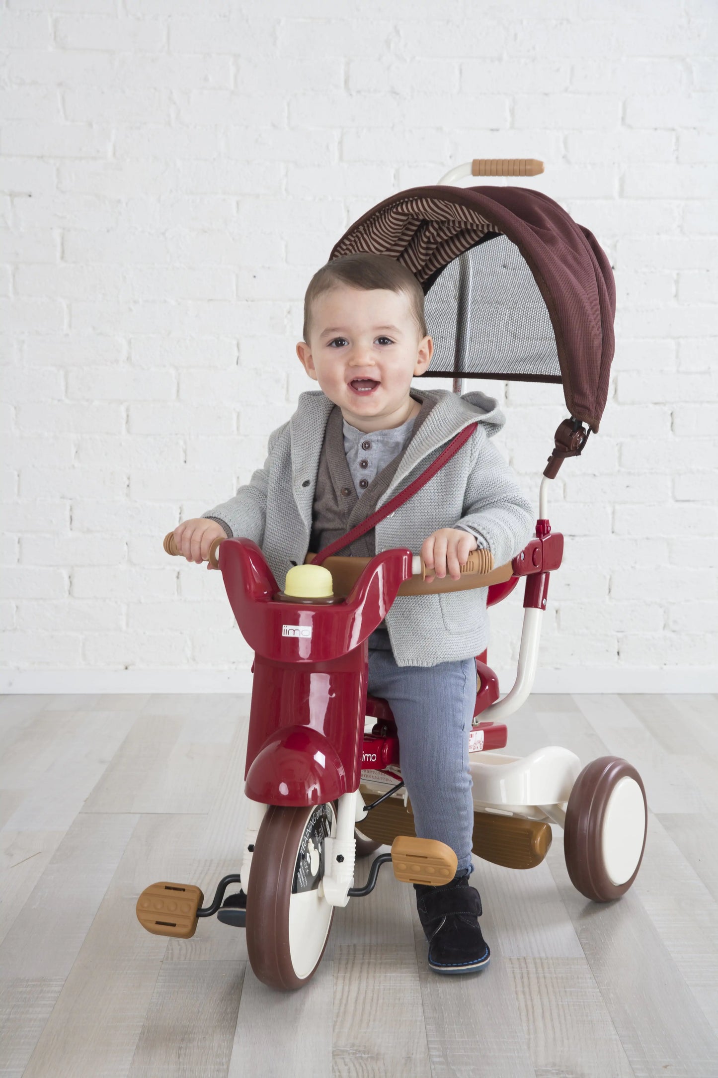 iimo 3-in-1 Foldable Tricycle with Canopy