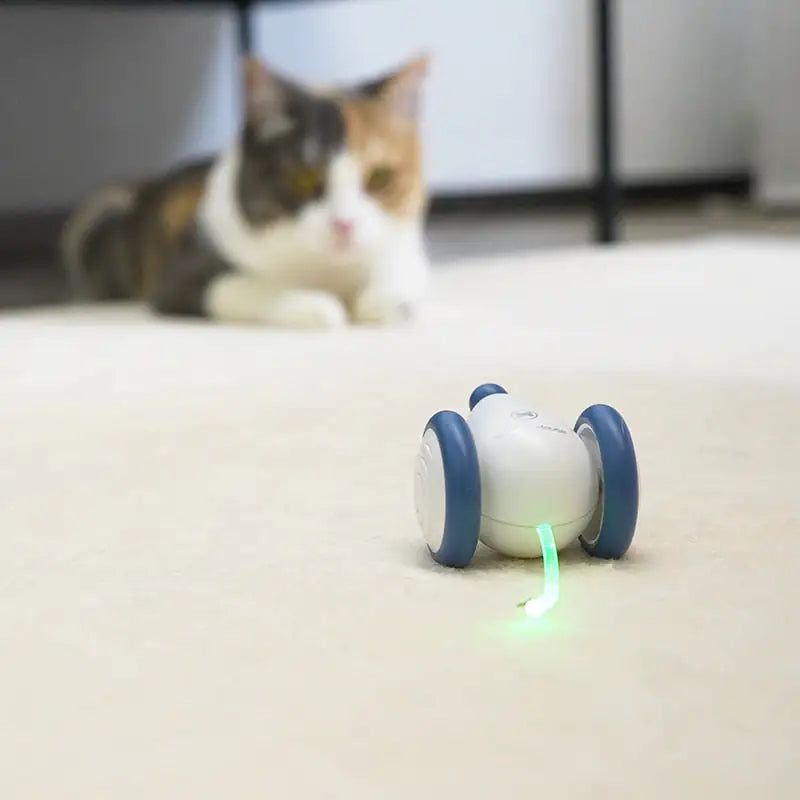 Cheerble Interactive Cat Toys for Indoor Cats, Automatic Cat Toy with LED Lights, Wicked Mouse Toys, Kitten Toys, Pet Toys, Smart Electric Cat Toy, USB Rechargeable, Auto On/Off… (Blue)