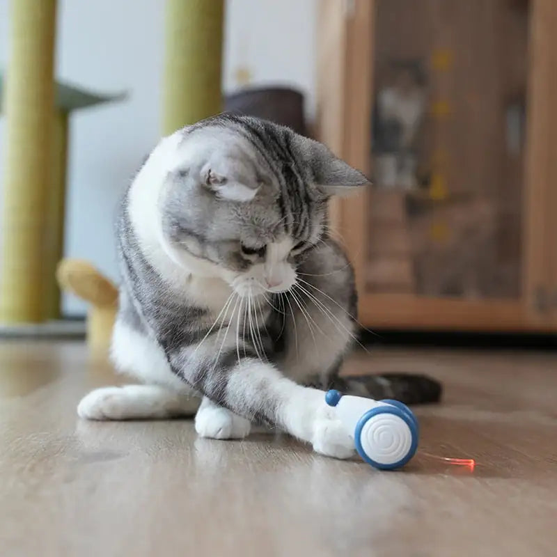 Cheerble Interactive Cat Toys for Indoor Cats, Automatic Cat Toy with LED Lights, Wicked Mouse Toys, Kitten Toys, Pet Toys, Smart Electric Cat Toy, USB Rechargeable, Auto On/Off… (Blue)